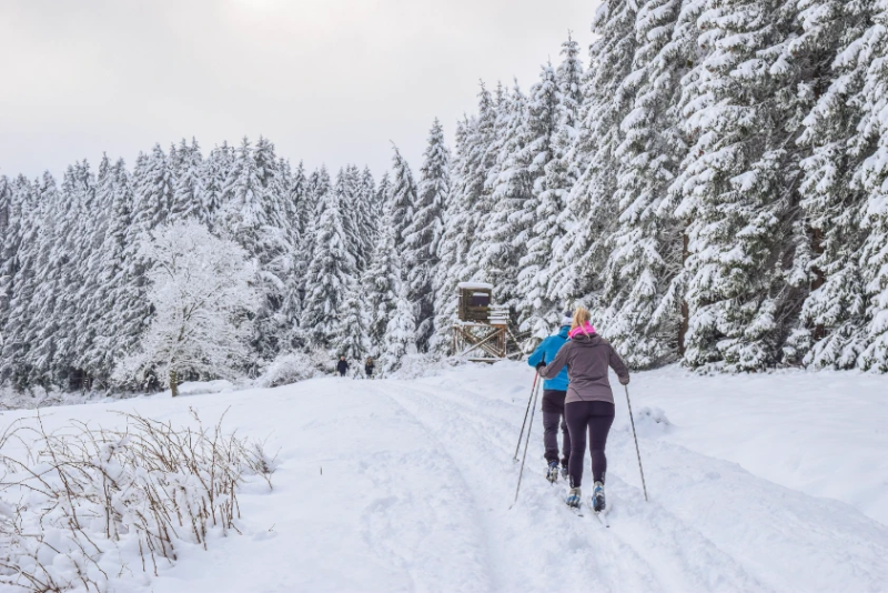 Twee langlaufers in de sneeuw in Winterberg