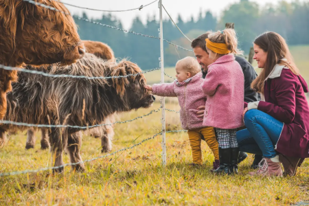 Familie aait een Schotse hooglander tijdens het wandelen in Winterberg