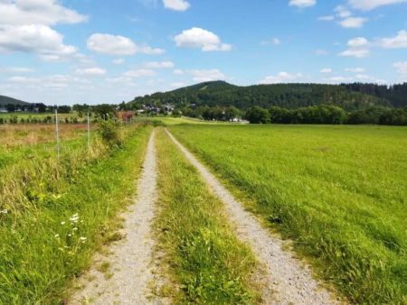 Bloemrijke weide met een beboste heuvelrug op de achtergrond – Naar de bron van de Ruhr, Winterberg