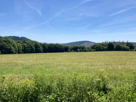 Groen dal met weiden en bosranden onder een wolkenlucht – Bremberg-rondweg en de skischans, Winterberg