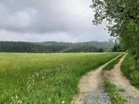Uitzicht over glooiende weiden en beboste heuvels – Kurpark Winterberg en de Schmantel, Winterberg