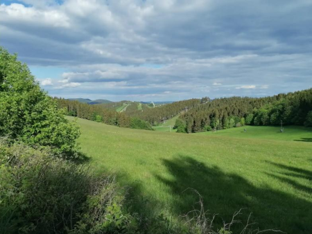 Karrenspoor door een weiland met een beboste heuvel op de achtergrond – Kloof- en bruggenpad in het Helletal, Winterberg
