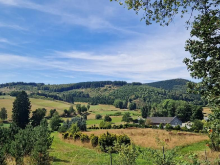 Uitzicht over het dorp in het dal met weiden en bos – Grönebacher Dorfpfad (Rothaarsteig-Spur), Winterberg