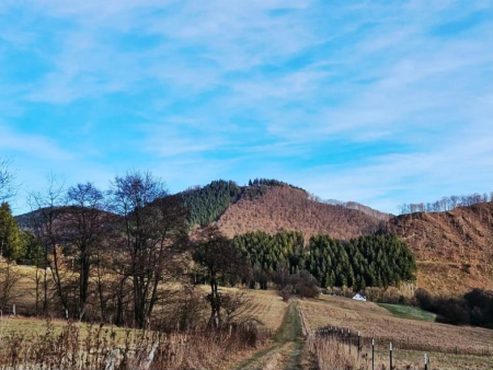 Asfaltweg langs weiden met het dorp en de heuvels erachter – Sauerland-Höhenflug: Küstelberg – Düdinghausen, Winterberg