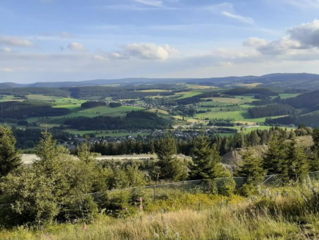 Bospad langs stapels gezaagd hout tussen de sparren – Kahler Asten en Hoher Knochen, Winterberg