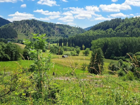 Groen dal met weiden, bosranden en een beboste heuvelrug – Grote ronde: schans, Helletal en Ruhrbron, Winterberg